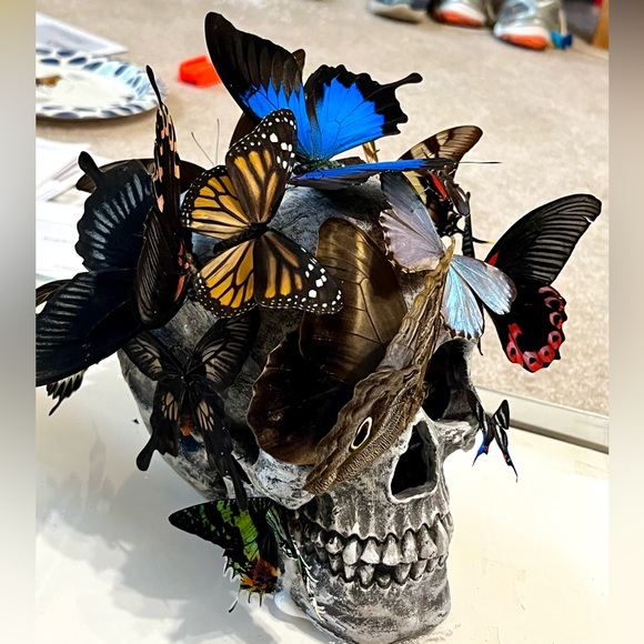 Skull sculpture with real butterflies, in 10”x8”x10” shadow box - Picture 4 of 11